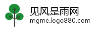 见风是雨网